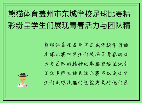熊猫体育盖州市东城学校足球比赛精彩纷呈学生们展现青春活力与团队精神