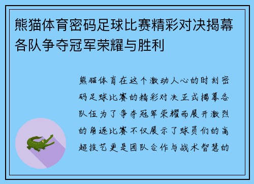 熊猫体育密码足球比赛精彩对决揭幕各队争夺冠军荣耀与胜利