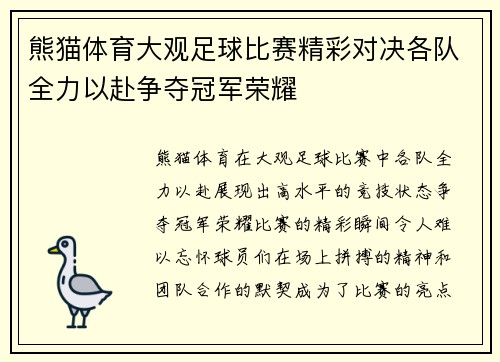 熊猫体育大观足球比赛精彩对决各队全力以赴争夺冠军荣耀