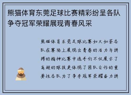 熊猫体育东莞足球比赛精彩纷呈各队争夺冠军荣耀展现青春风采