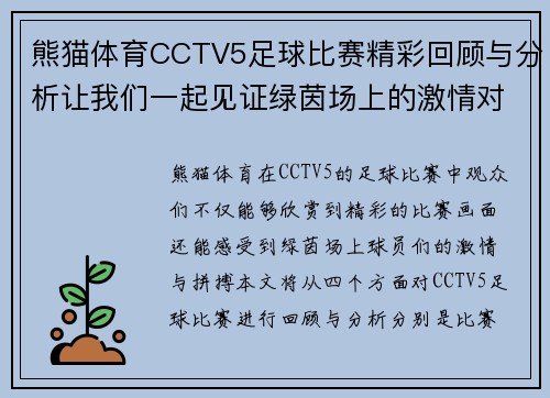 熊猫体育CCTV5足球比赛精彩回顾与分析让我们一起见证绿茵场上的激情对决