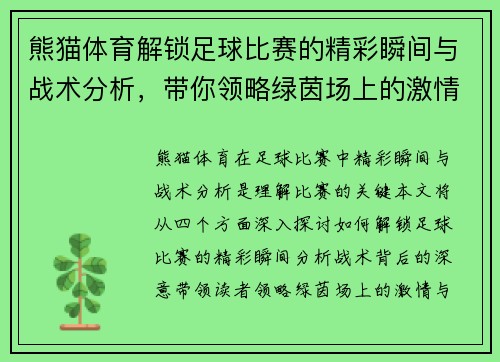 熊猫体育解锁足球比赛的精彩瞬间与战术分析，带你领略绿茵场上的激情与荣耀